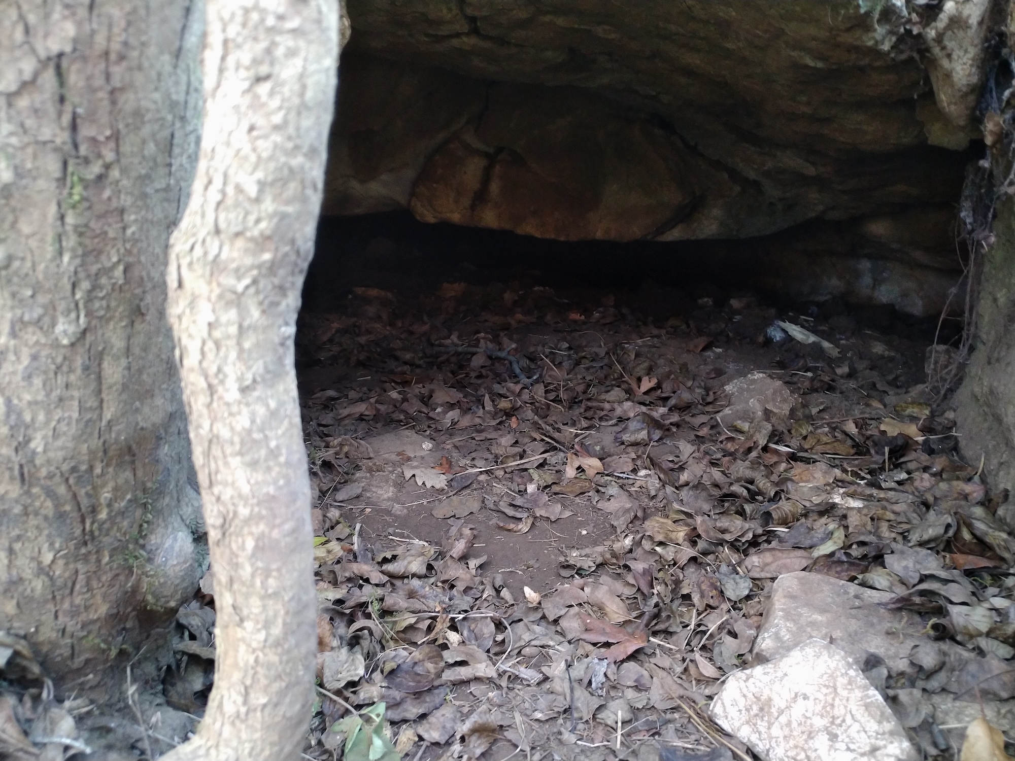 Peștera Limaxului - Image 1